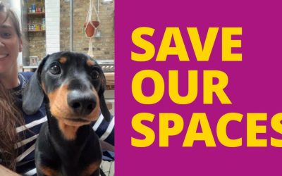 Save Our Spaces